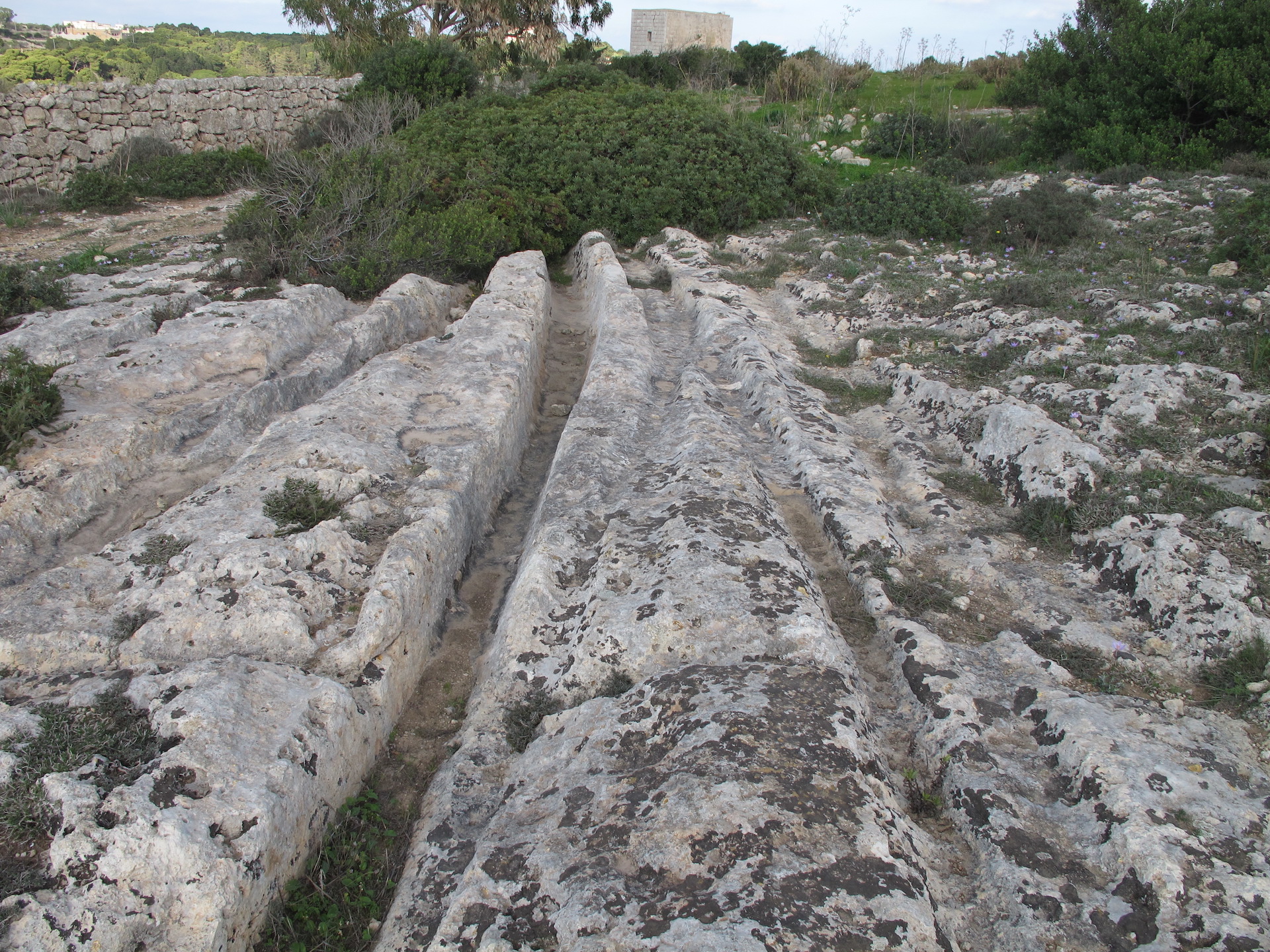The deep cart ruts made in limestone in Malta