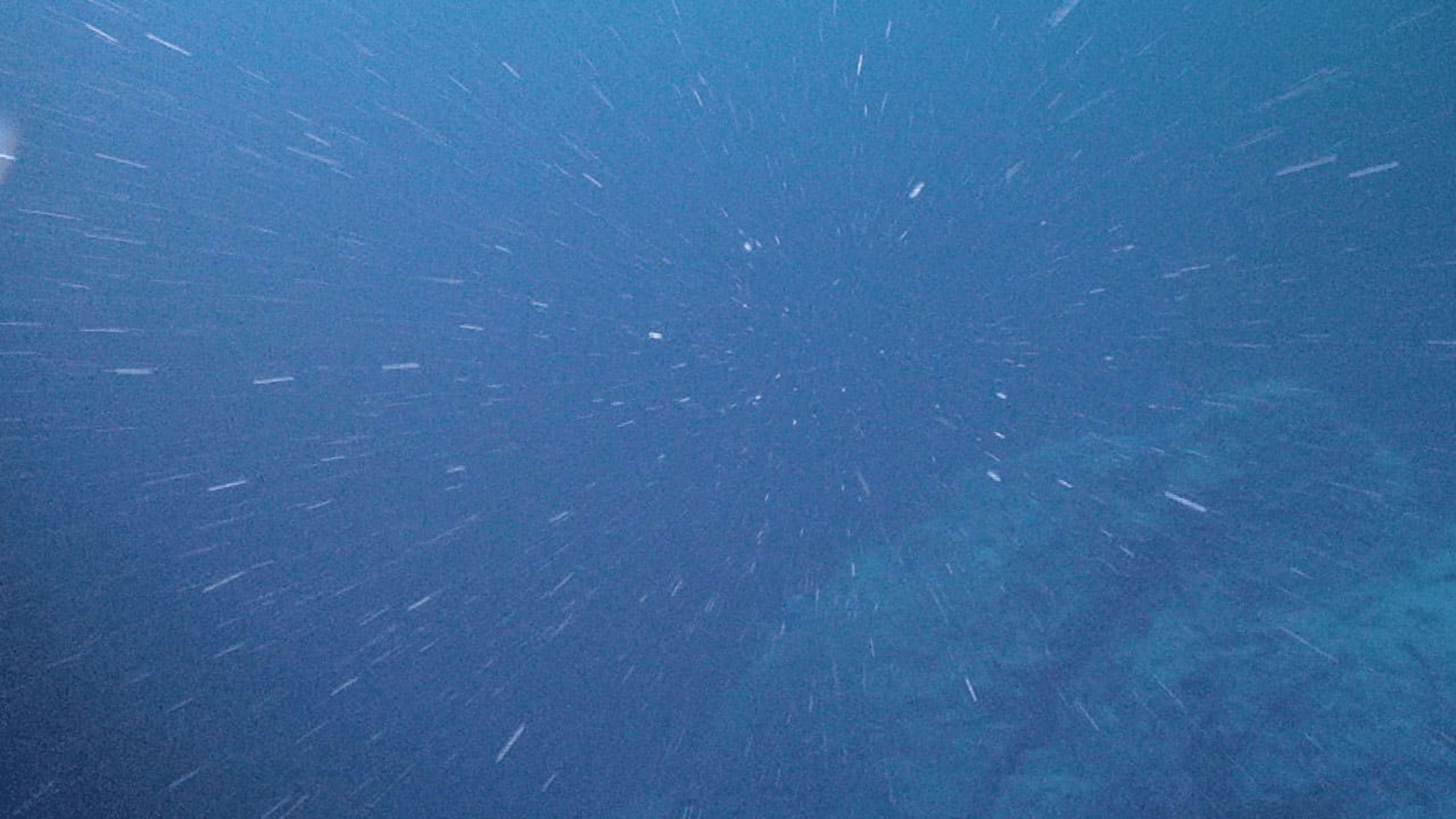 An image of marine snow falling from the upper columns of ocean water.