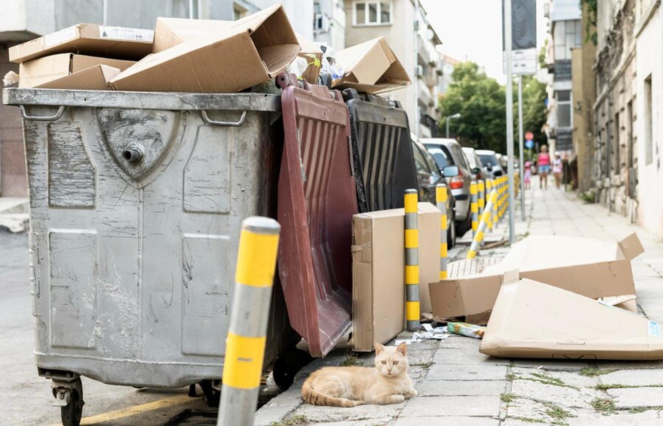 Dumpsters on the street overflow with cardboard and other trash