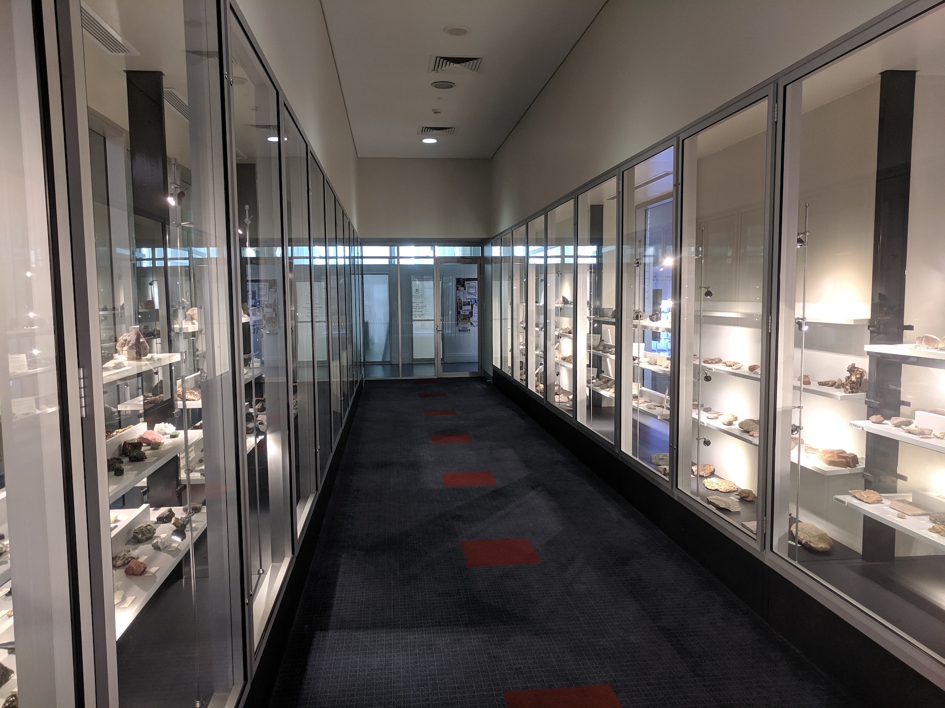 UQ Geology Museum Display Cabinets with blue and red carpet