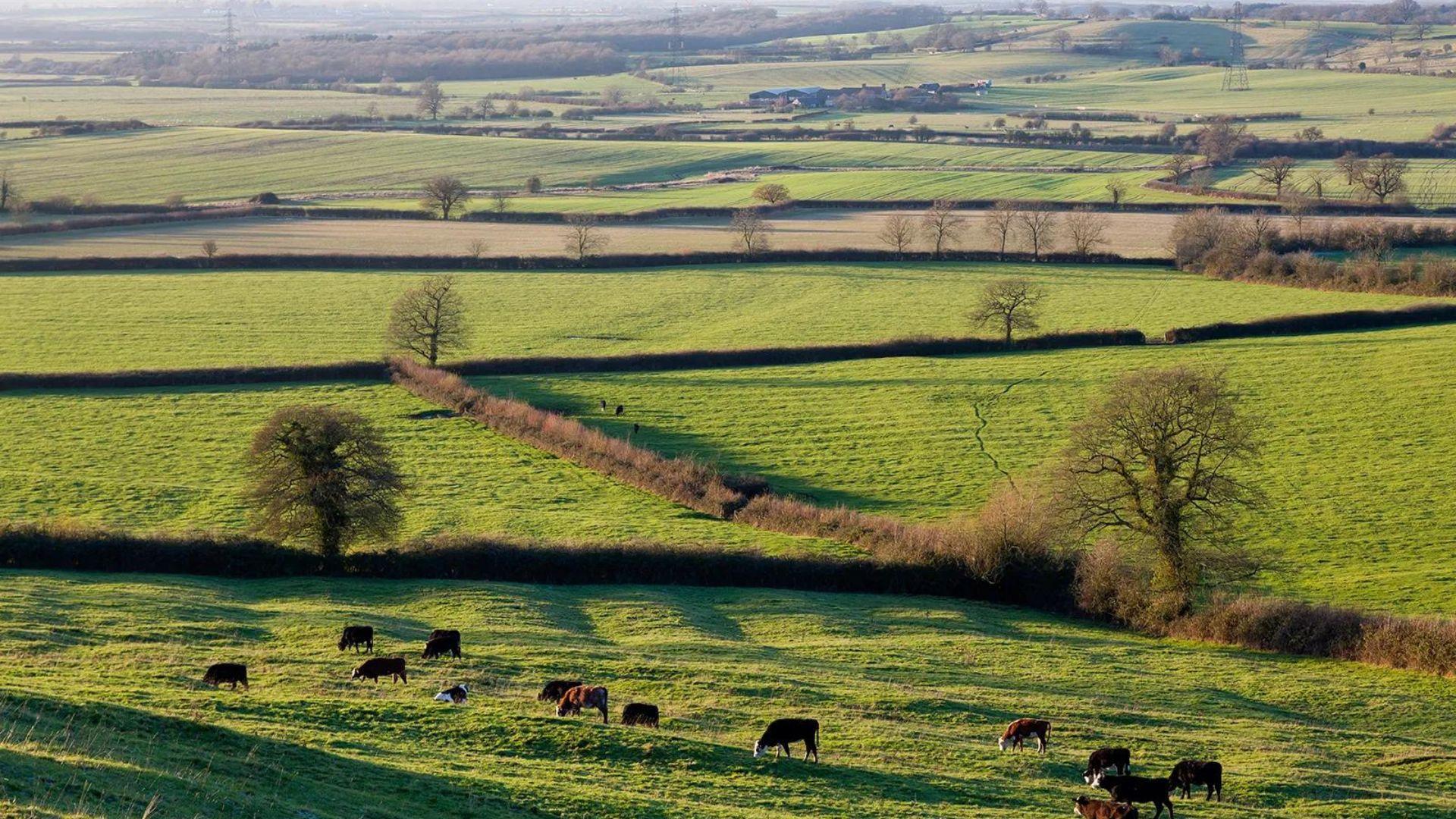 View of the vast countryside in Aylesbury, England
