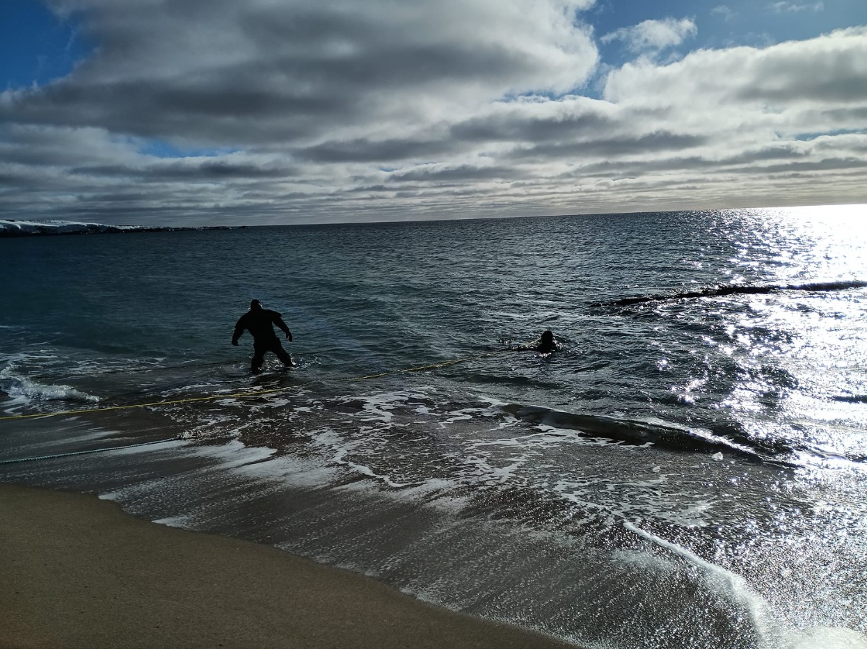 Man exits the water next to a recently found shipwreck in Cape Ray, Newfoundland, Canada