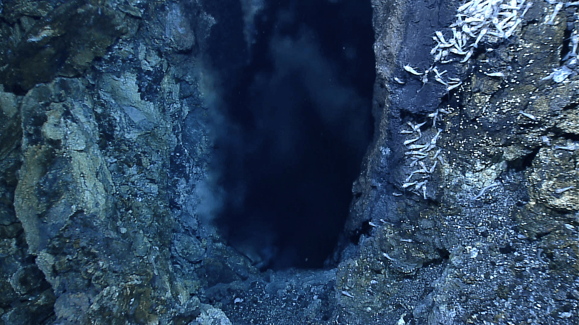 Huge 3-foot orifice of a hydrothermal vent at the Von Damm vent site.
