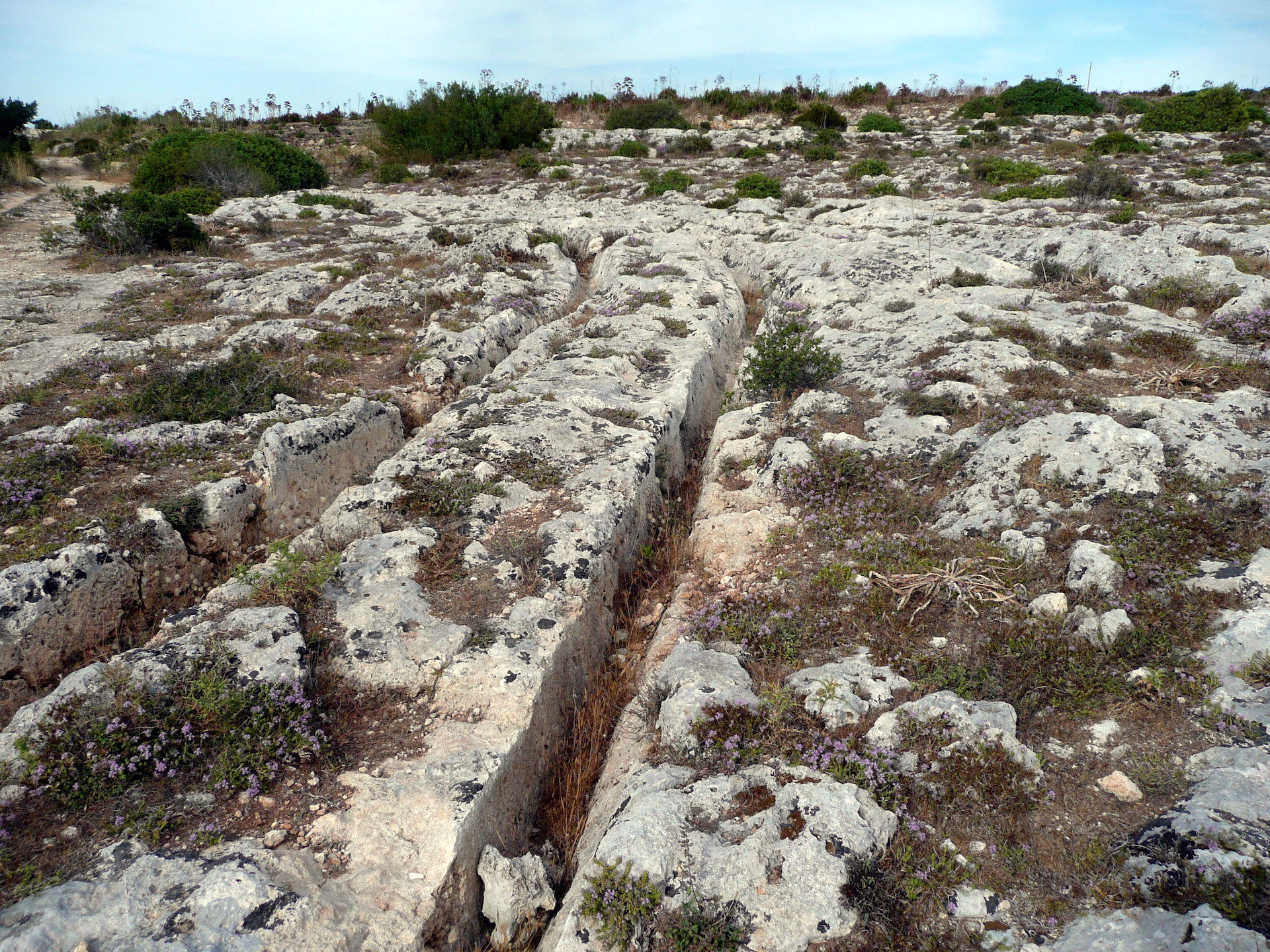 Deep parallel lines of cart ruts made in limestone in Malta