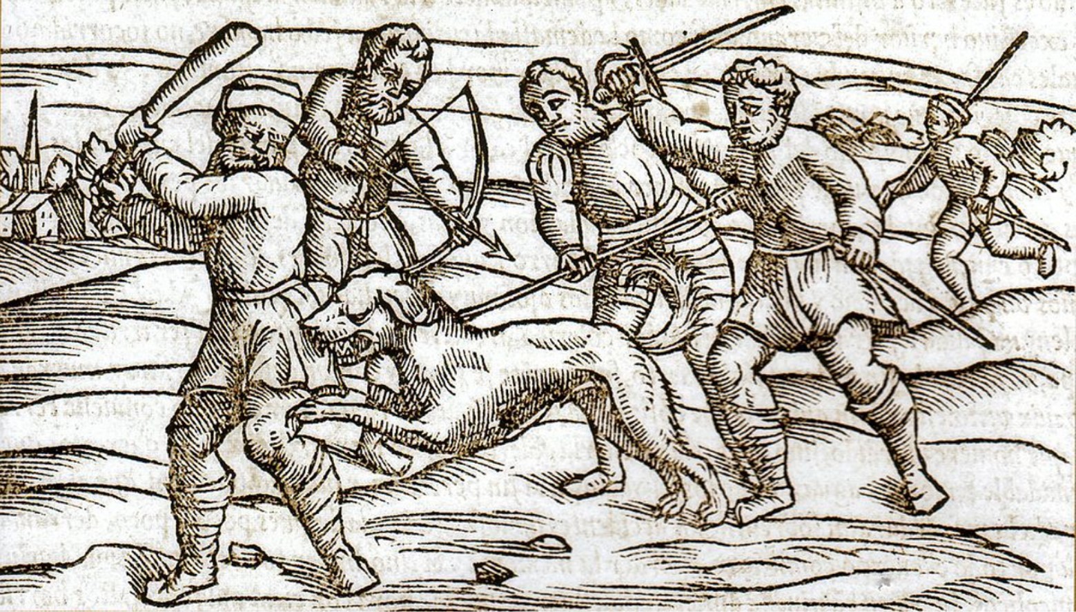 A woodcut from the Middle Ages showing a rabid dog from Dobson, Mary J. (2008) Disease, Englewood Cliffs