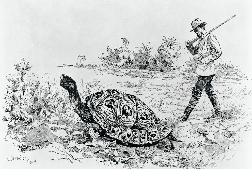 An illustration from Charles Darwin, His Life and Work, by Charles Frederick Holder, first published in 1891.