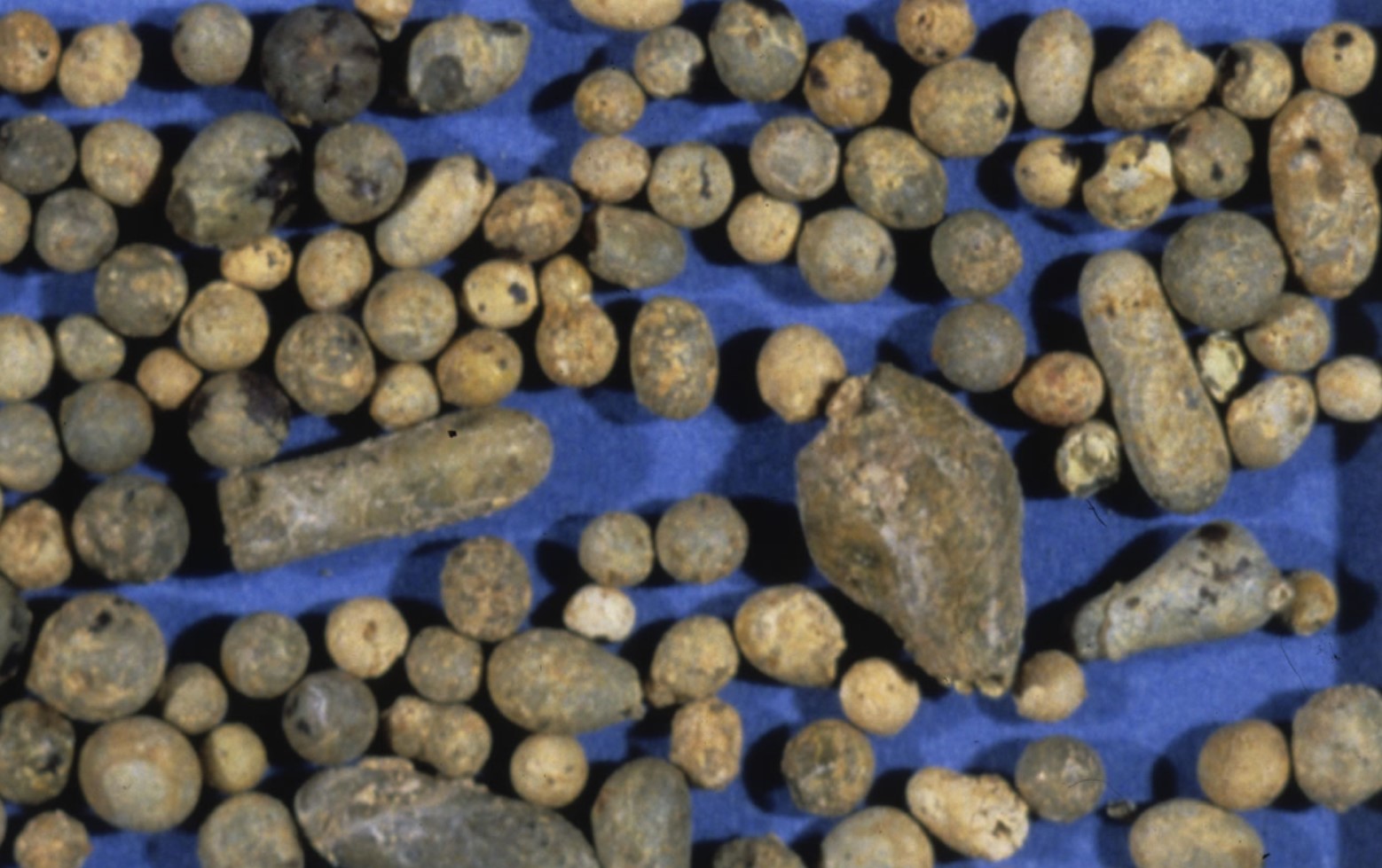 Impact melt spherules found at the Cretaceous-Tertiary (K-T) Boundary