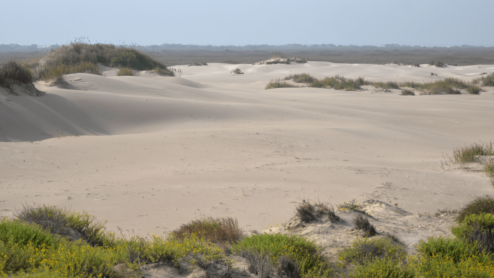 The interior island sand dunes at Padre Island National Seashore in 2022.