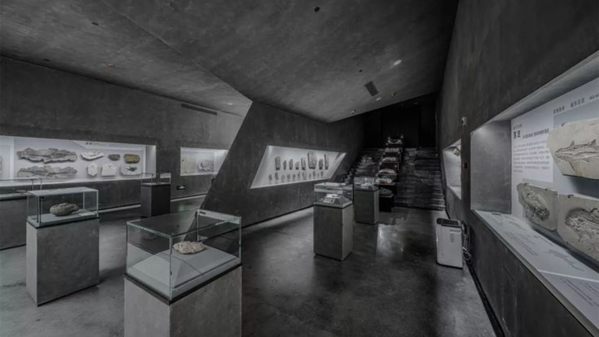 Black-and-white image of the inside of Yingliang Stone Nature History Museum, showing display cases and a staircase.