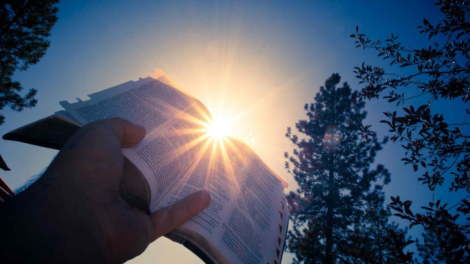 A Bible being held high towards the sun.