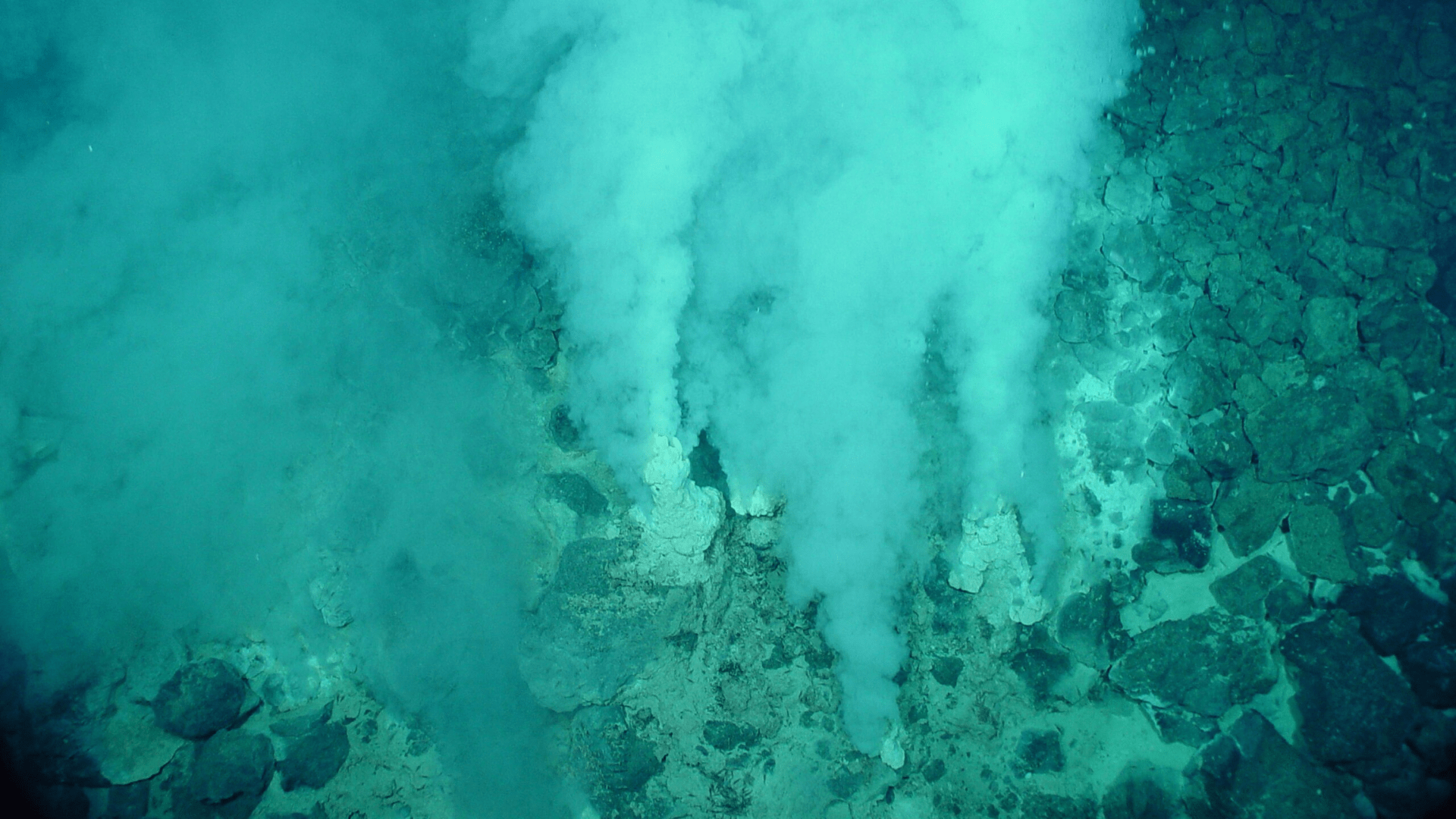 White smoker hydrothermal vents at the Champagne Vent site. Plumes of white gas spills upward from the ocean floor.