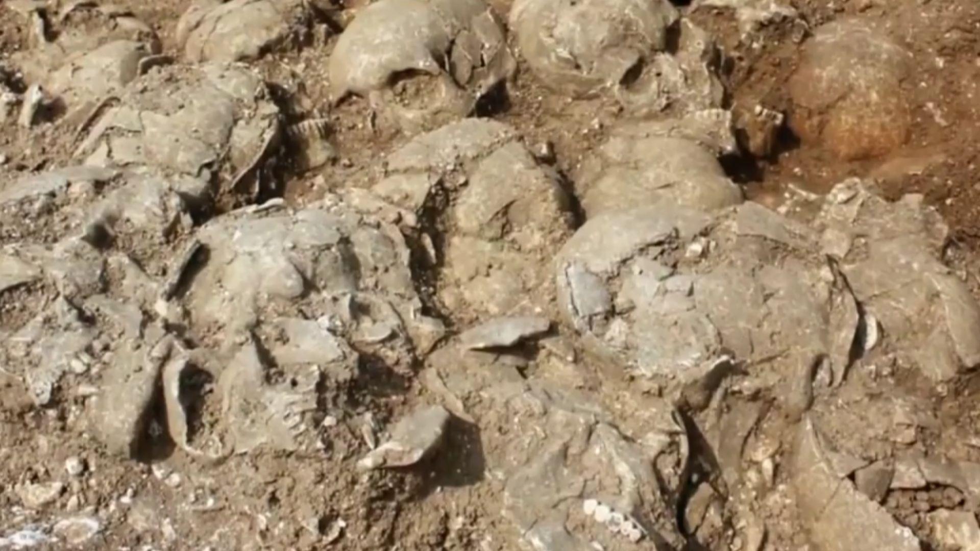Skulls in mass grave of 54 skeletons and 51 skulls from the Middle Ages found in a shallow pit in Dorset, England