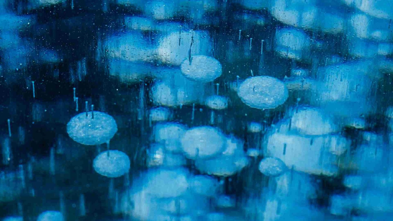 A photo of methane bubbles trapped in ice.