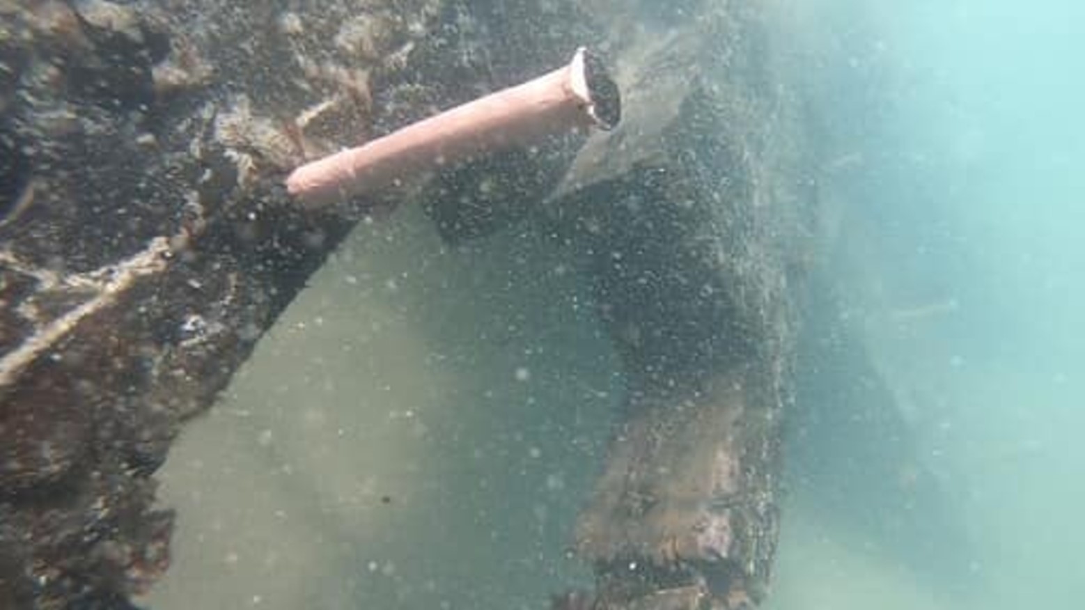 Photograph of the recently found shipwreck at Cape Ray, Newfoundland