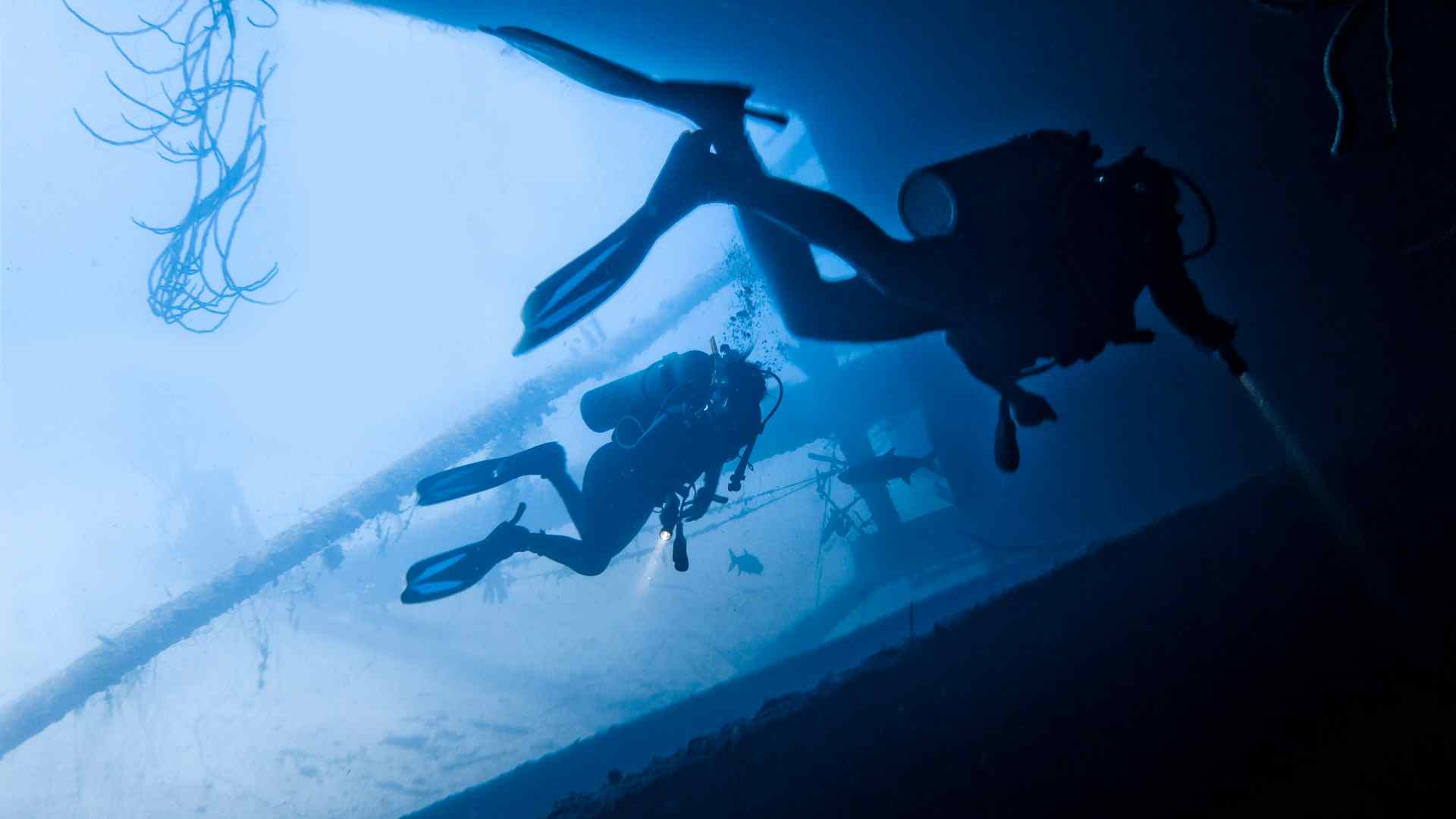 Divers investigating a shipwreck.