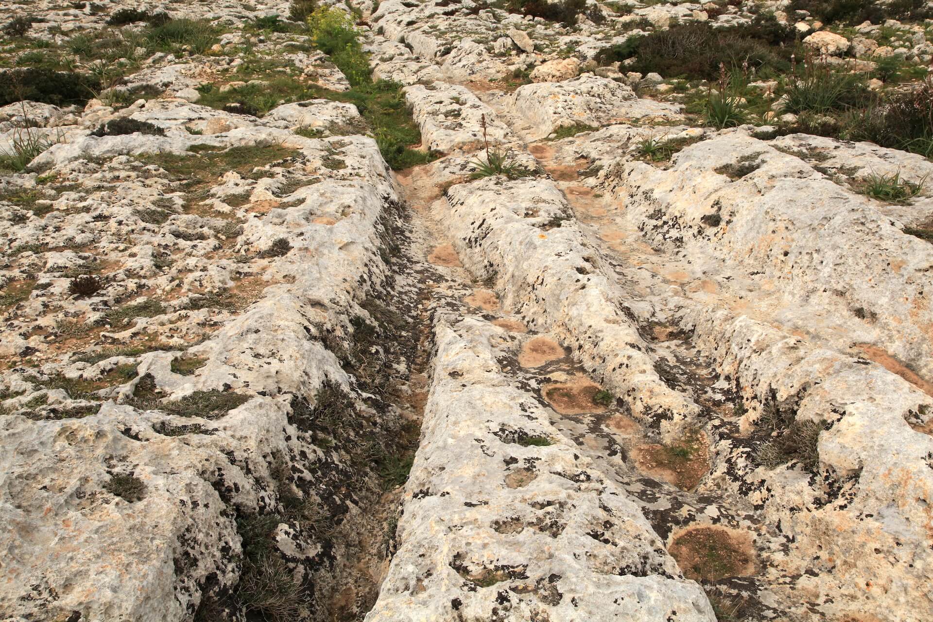 Deep parallel lines of cart ruts made in limestone in Malta