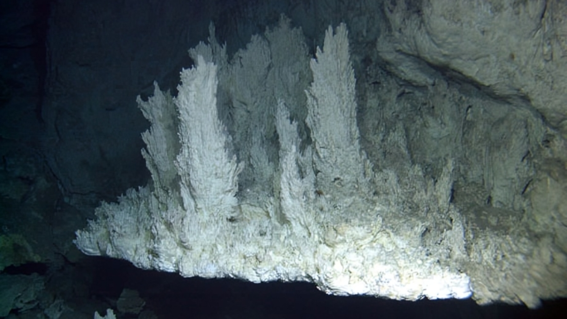 White-colored mineral deposits on the side of a hydrothermal vent's chimney.