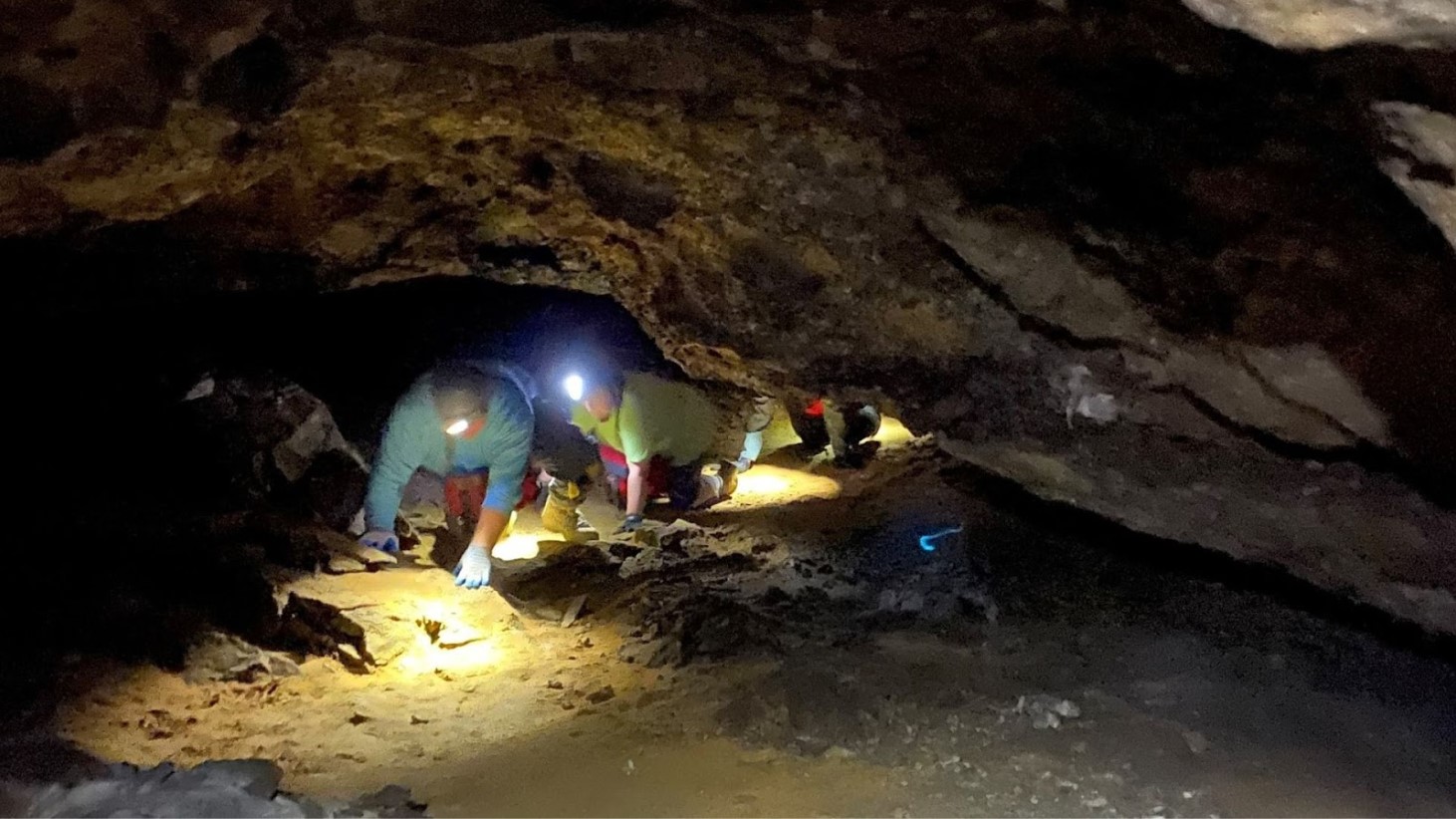 Two individuals wearing helmets with headlamps are crouched down on a cave floor during an excavation. They are carefully examining the ground, illuminated by the light from their headlamps in an otherwise dark cave environment
