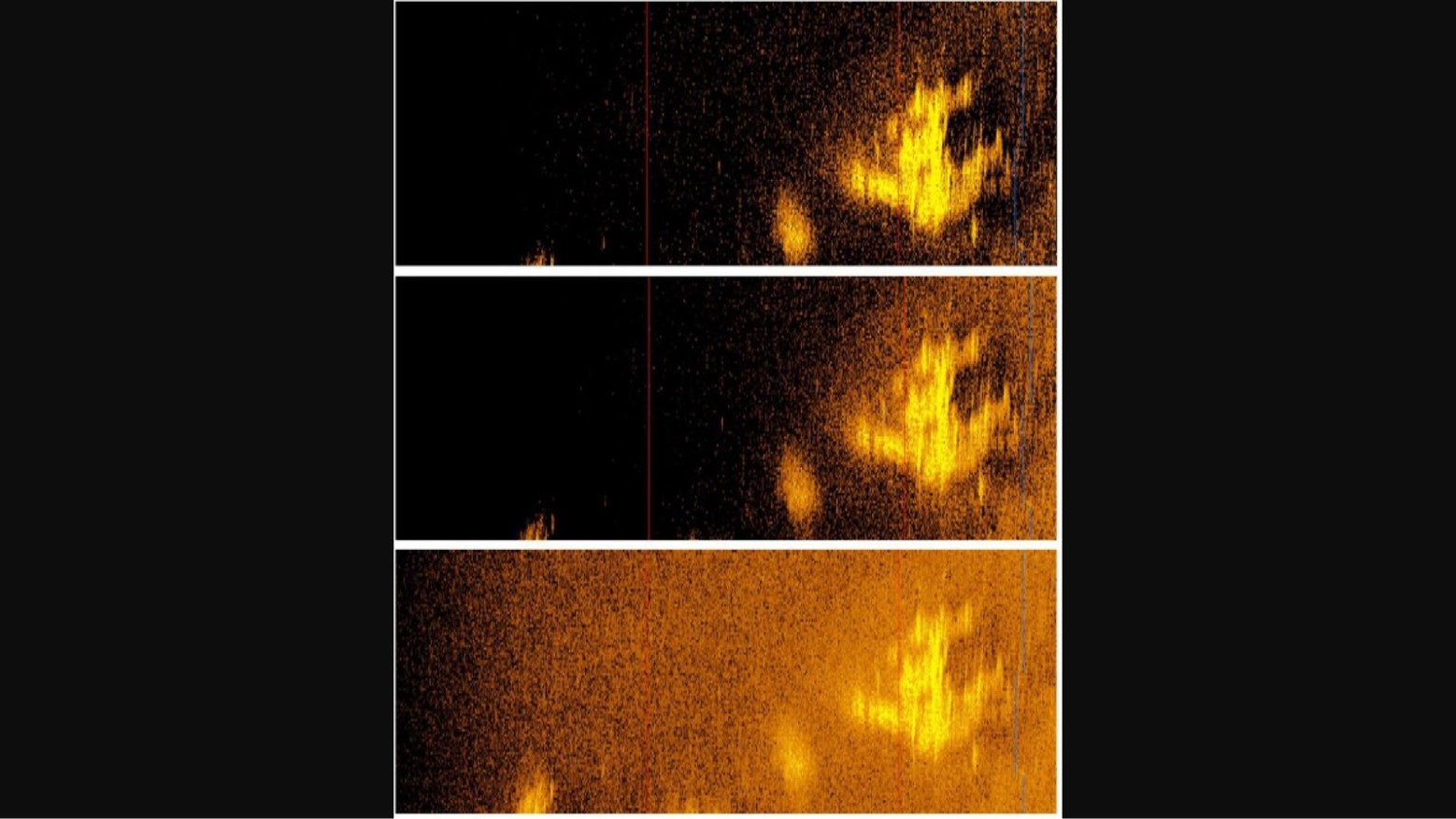Screenshot of the sonar image taken by the Deep Sea Vision drone, possibly of Amelia Earhart’s plane