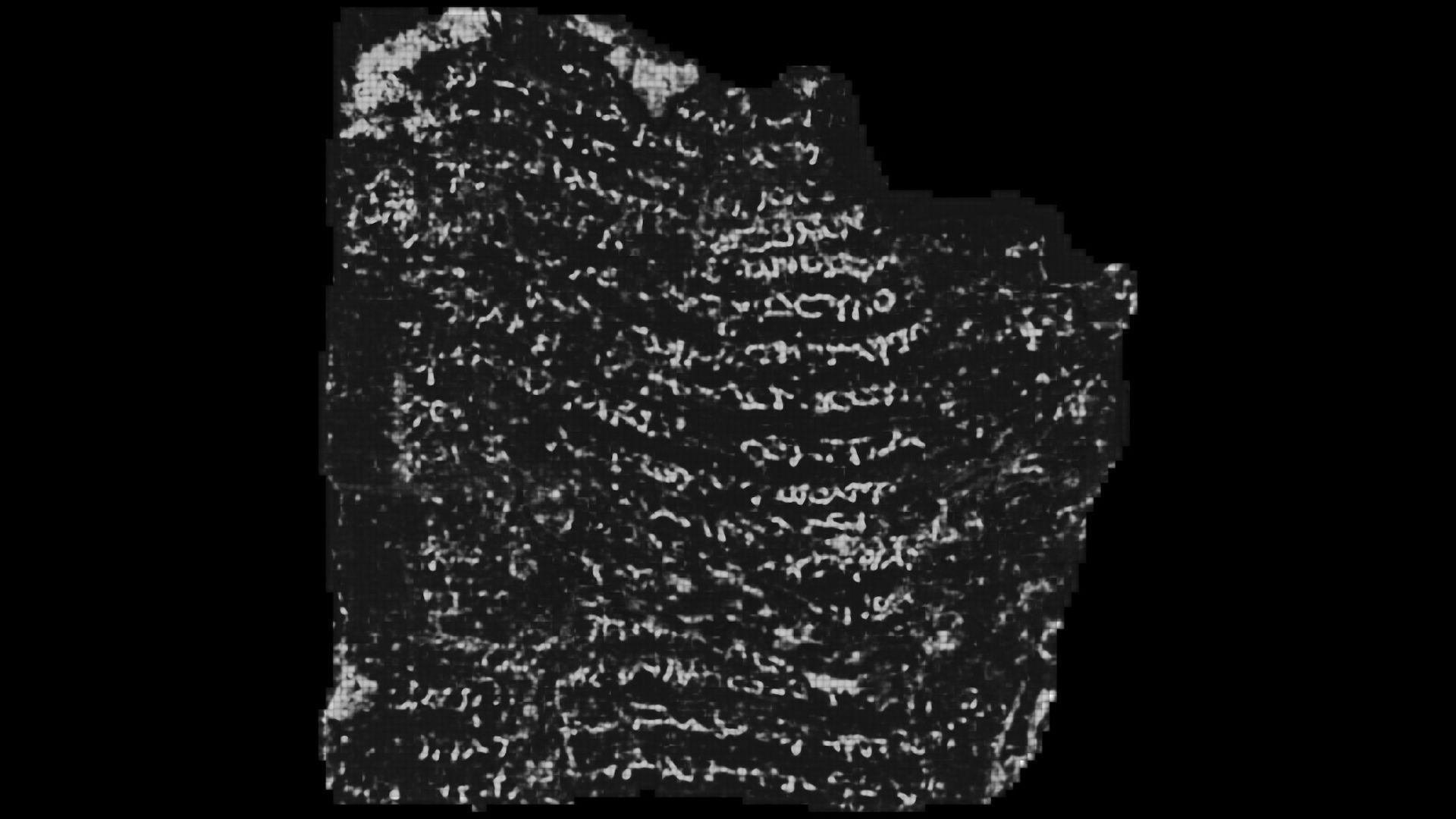 Outputs from auto-segmentation of Herculaneum scroll; the top row overlaps with the submission image, the bottom row has new segments.
