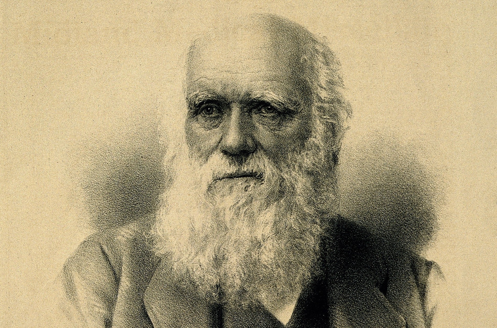 A close up of a drawing of Charles Darwin