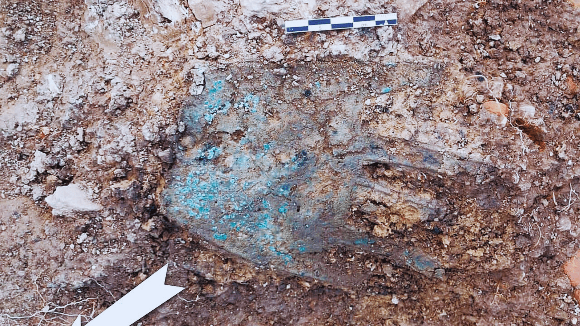 The Irulegi hand sitting in the ground partially uncovered at its discovery site.