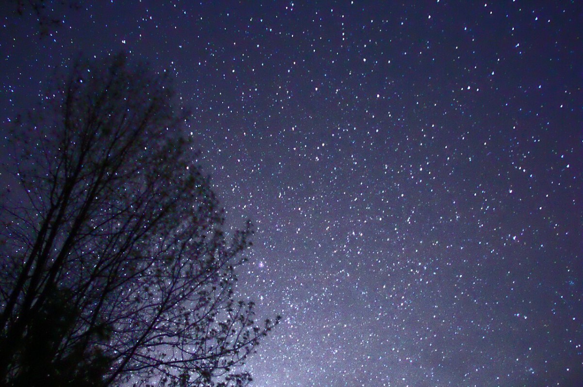 A photograph taken of the stars at night with a tree off to the side