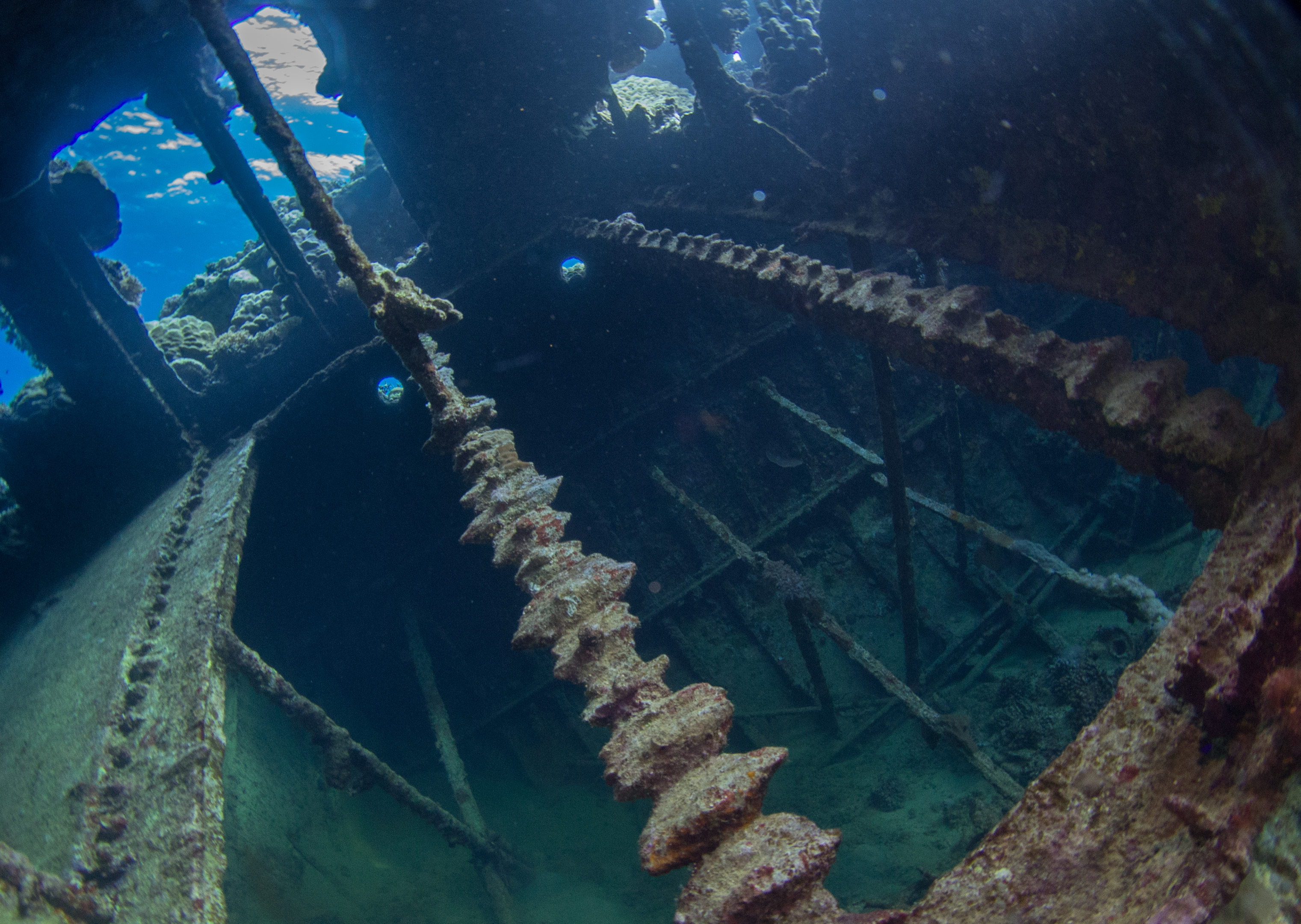 An underwater image of a shipwreck
