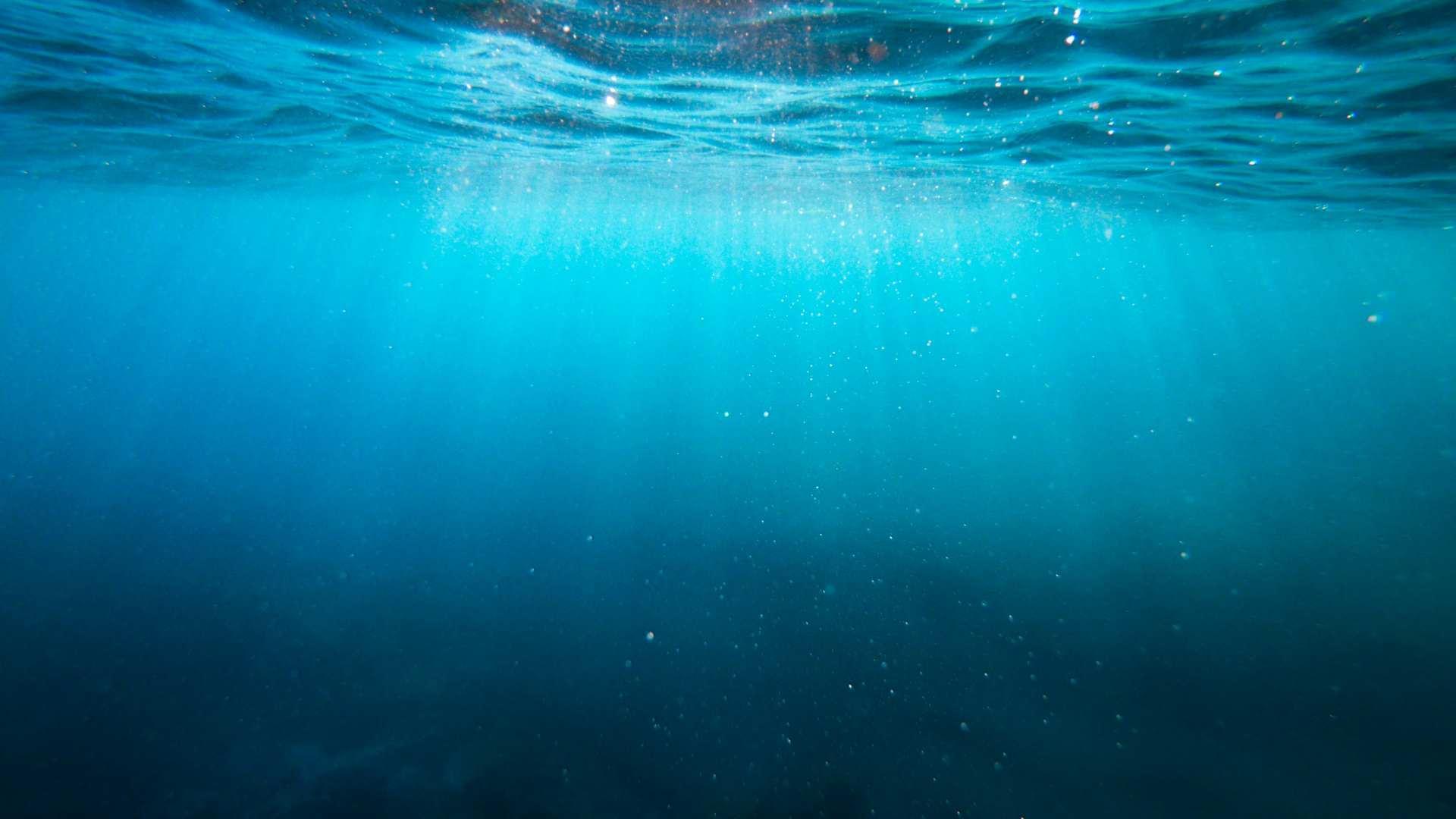 The view underwater as light diminishes farther from the surface.