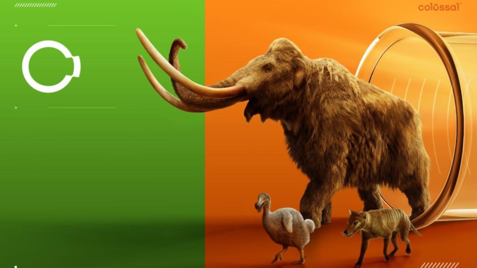 Promotional image for Colossal Biosciences with a woolly mammoth, dodo bird, and tiger walking out of a glass jar