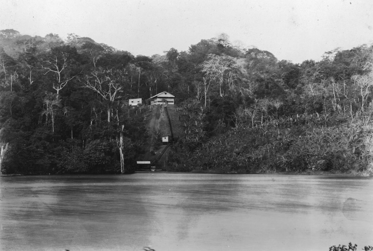 Photograph of the Smithsonian Tropical Research Institute’s first buildings on Barro Colorado Island on the Panama Canal