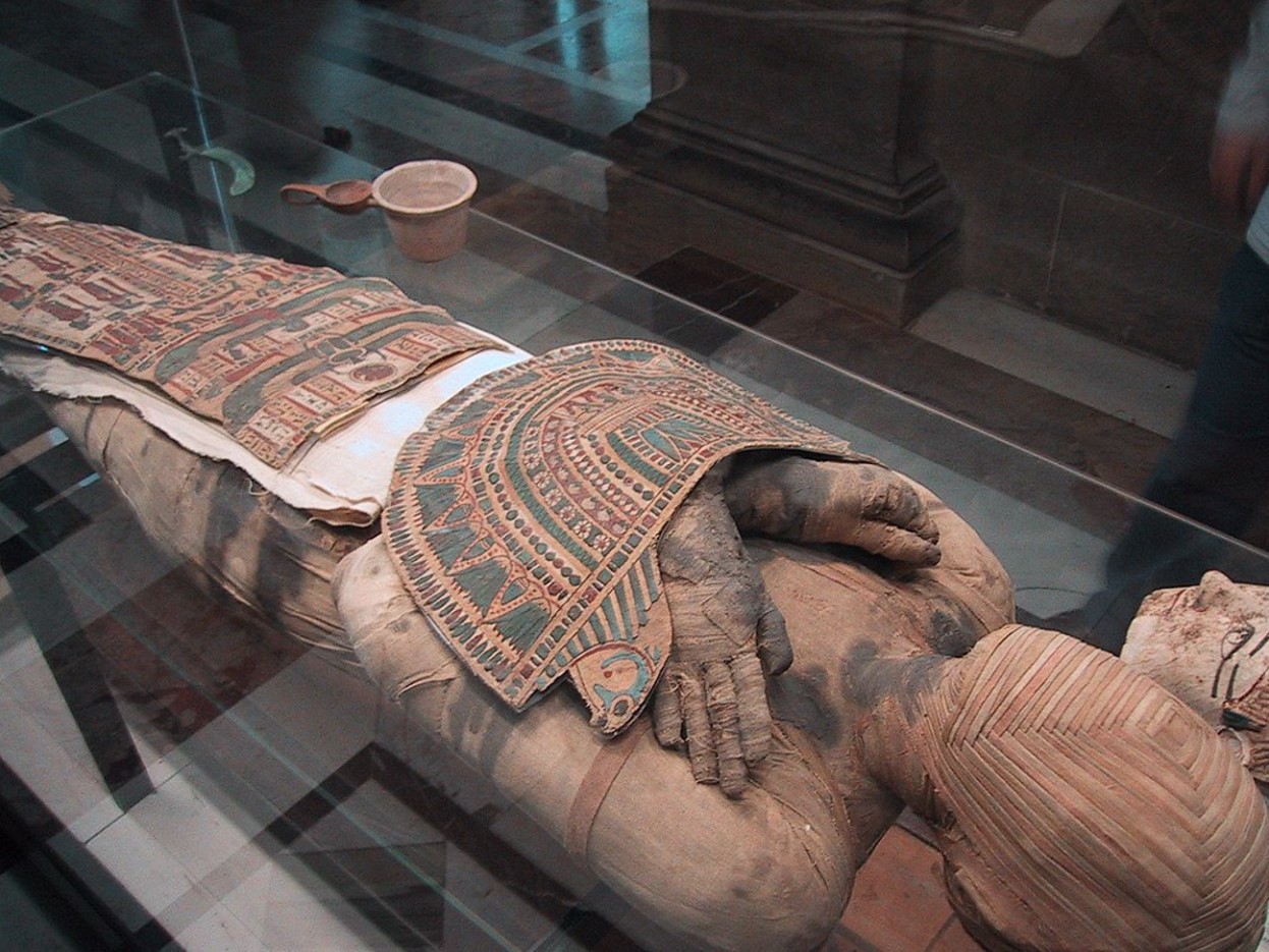 A mummy from Ancient Egypt on display in a museum