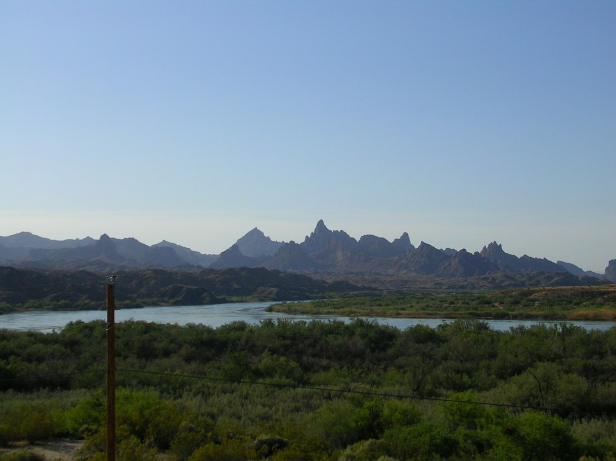 Heavily forested banks of the Colorado River near Topock, Arizona