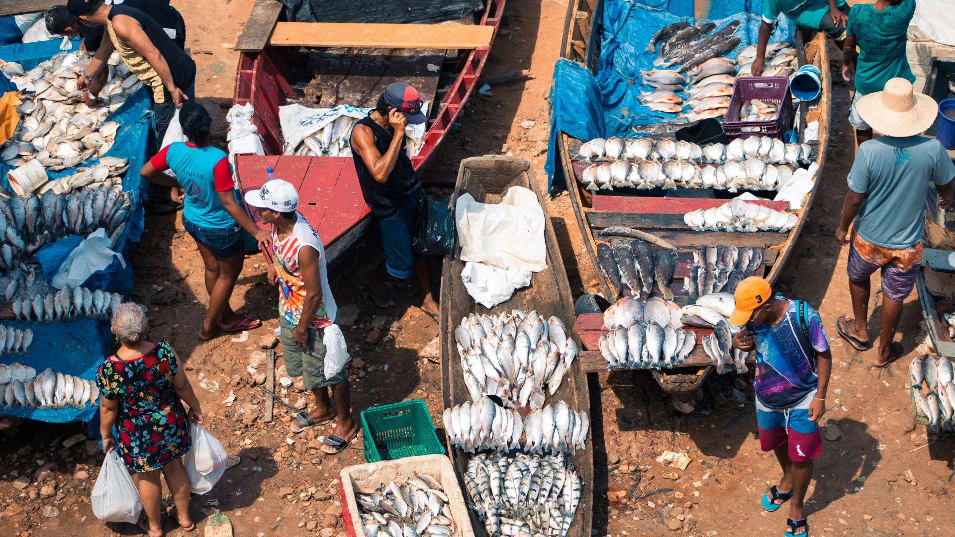 An aerial view of a bustling fish market. People are seen shopping and trading among stands overflowing with fresh fish. The fish are neatly organized in rows, filling the boats and tables that serve as makeshift stalls