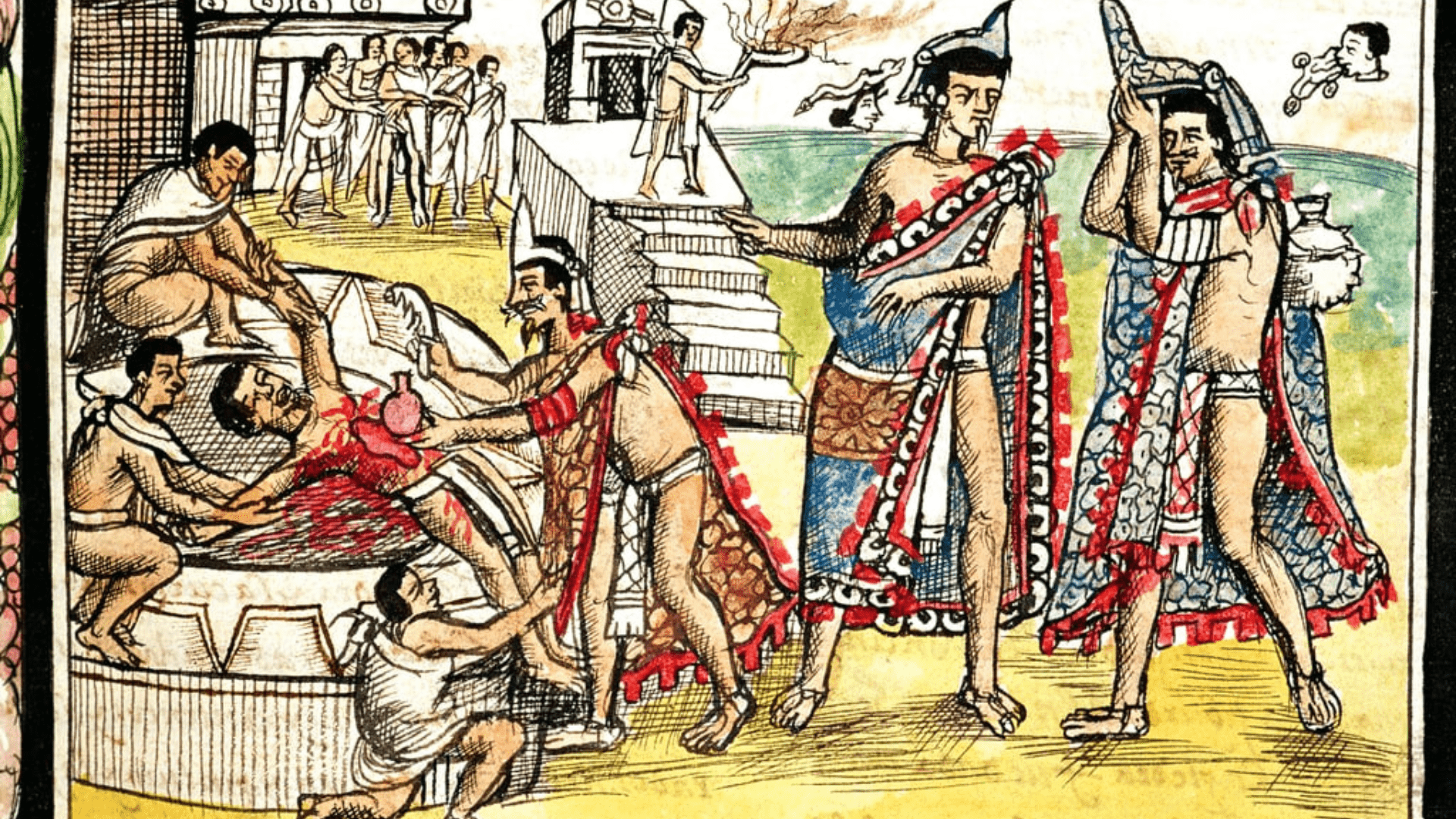 A depiction of an Aztec sacrificial ritual. A human sacrifice lies on an altar with hi blood being let.
