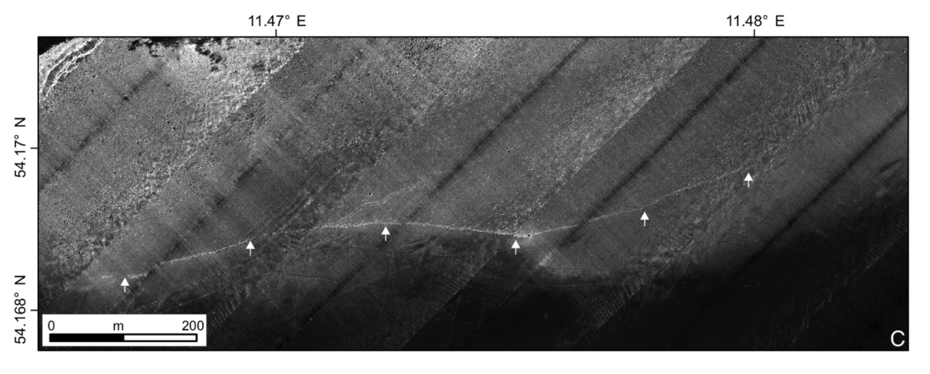 A scan that shows the length of the Blinkerwall