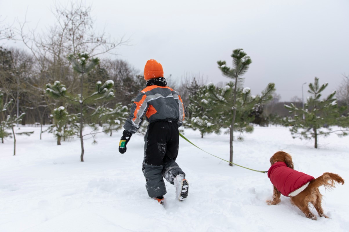 A man dressed in winter gear is pictured alongside his dog in the snowy mountains