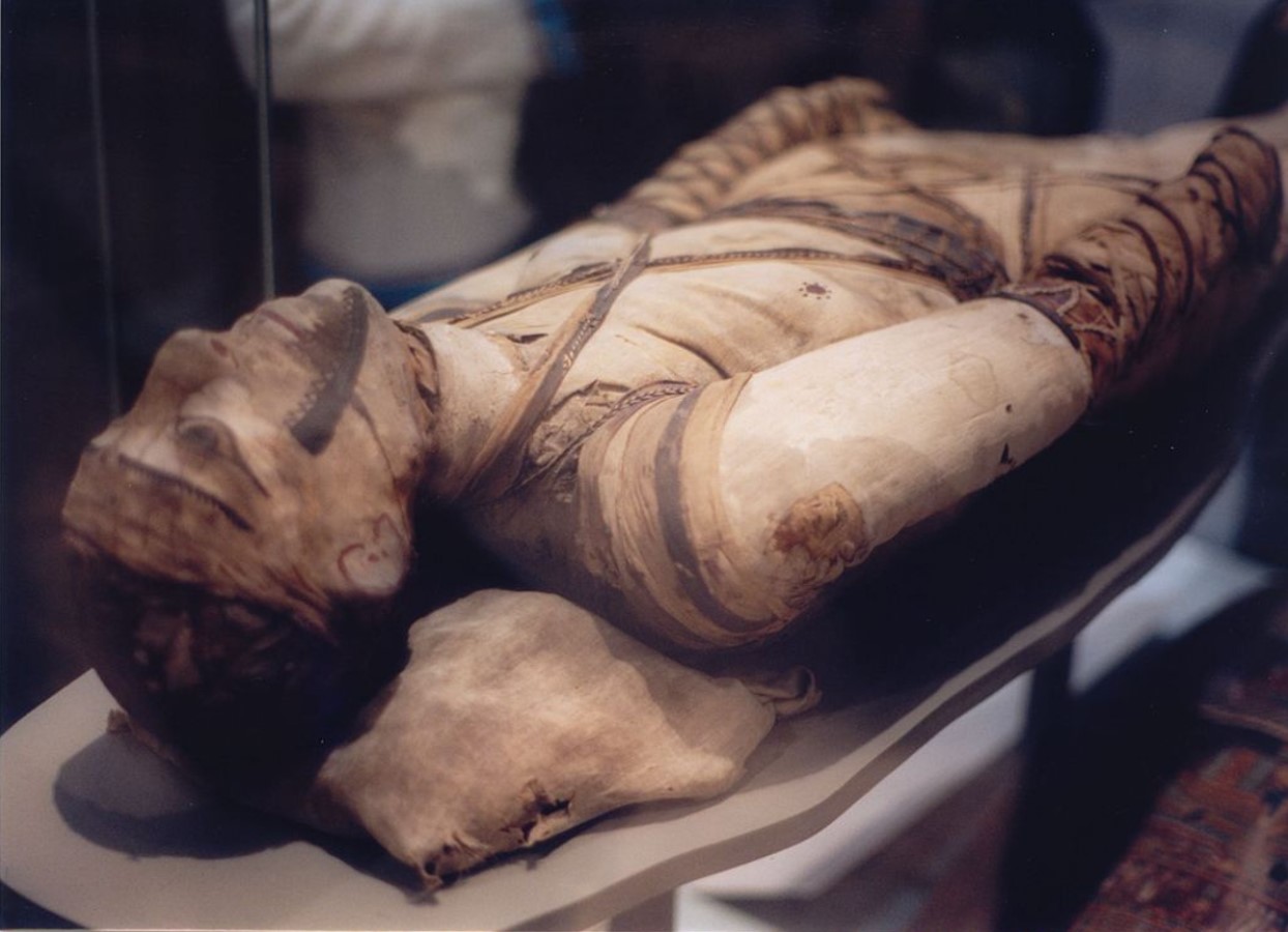 A mummy from Ancient Egypt on display in a museum