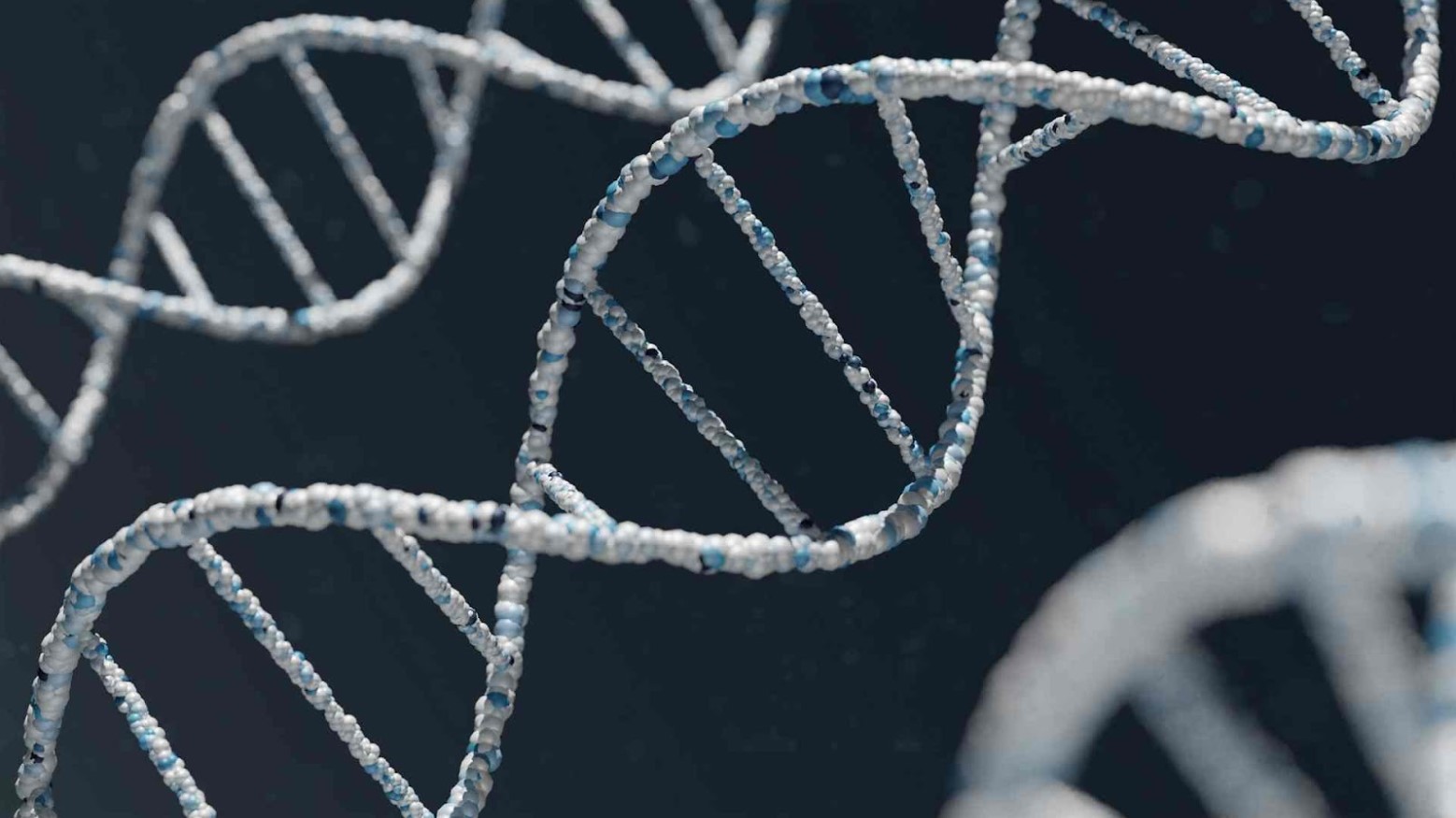 A strand of DNA depicted by an artist.