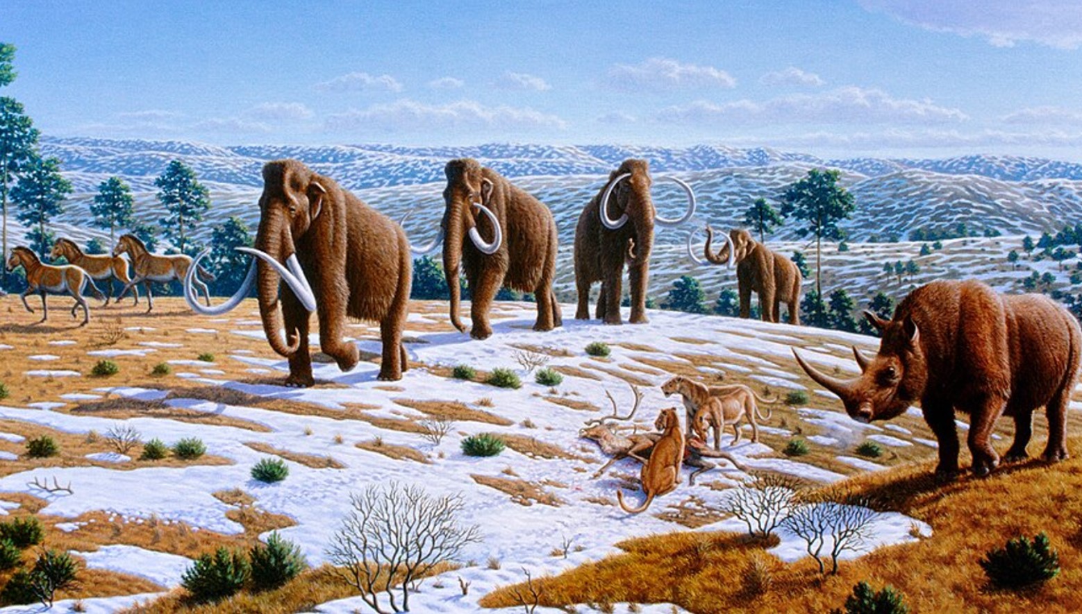 Life restoration of fauna during the Pleistocene epoch in northern Spain, by Mauricio Antón