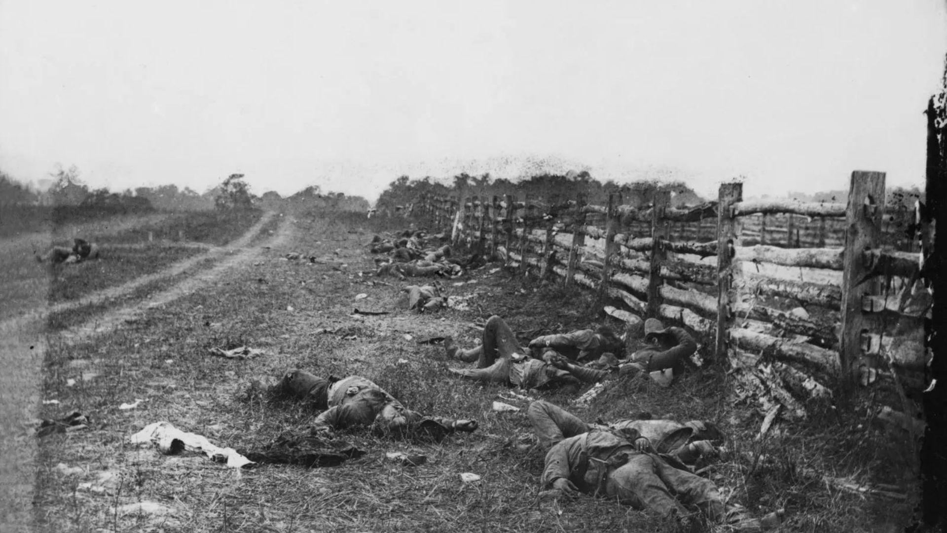 Photograph of several dead soldiers in a field after the Battle of Antietam