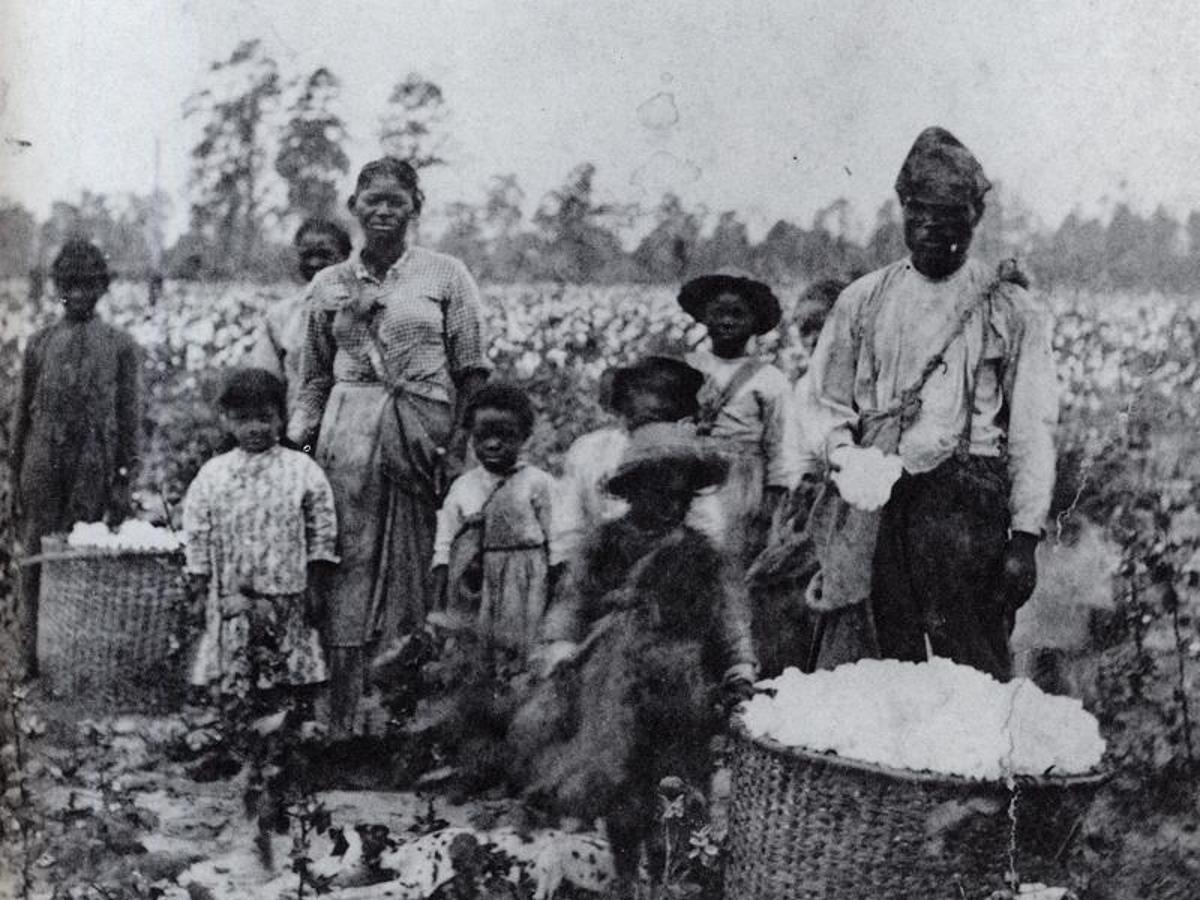 Family of enslaved black Americans in a cotton field in Georgia, circa 1850
