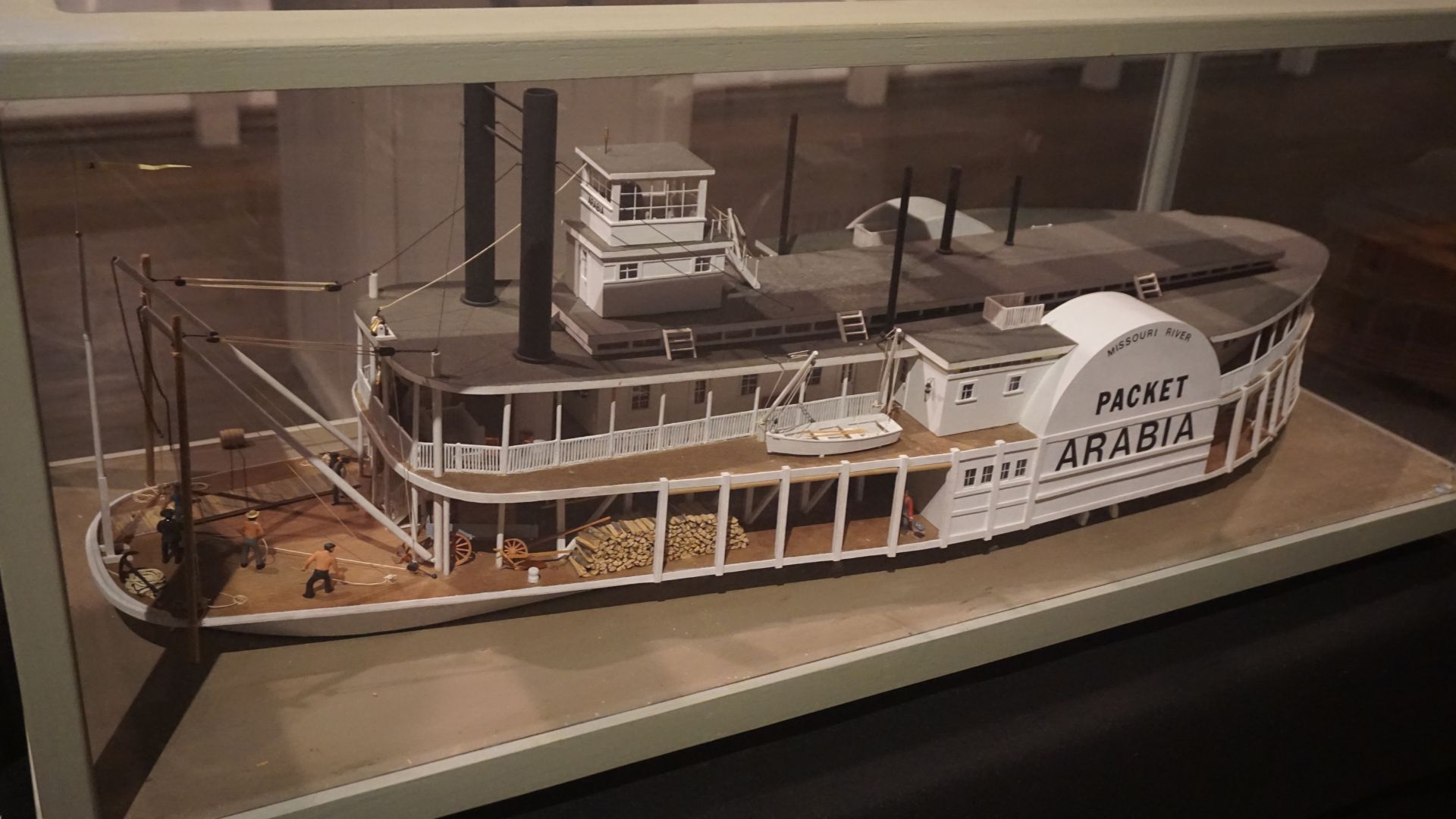 A model of the Great White Arabia seen in a museum.