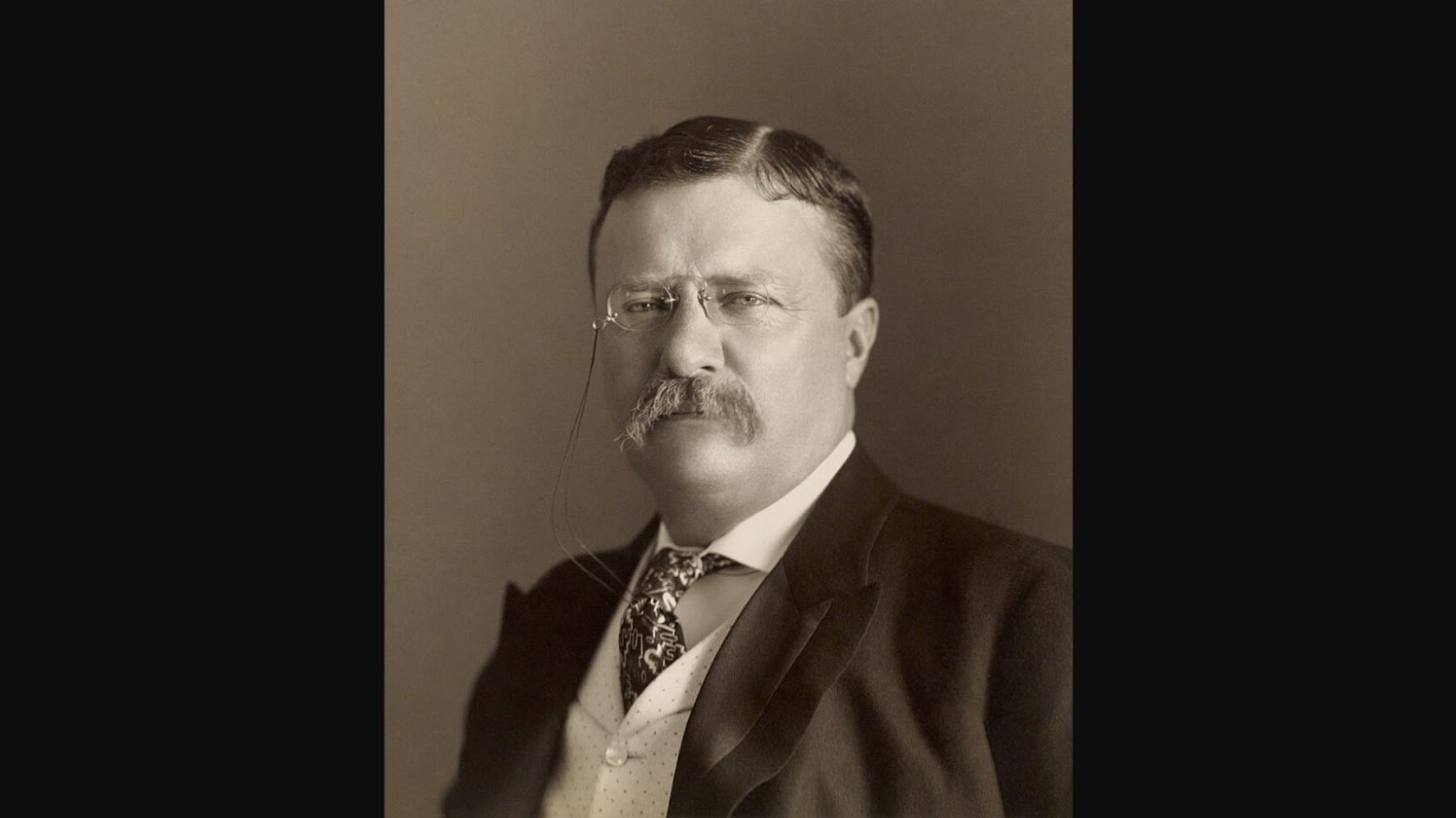 Portrait of Theodore Roosevelt by the Pach Bros in 1904