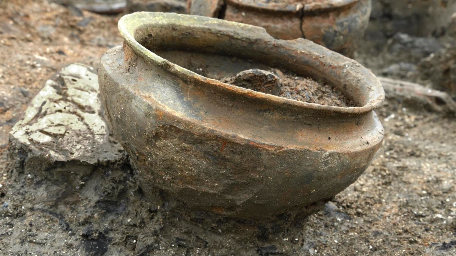 A ceramic pot found at Must Farm with remnants of food inside