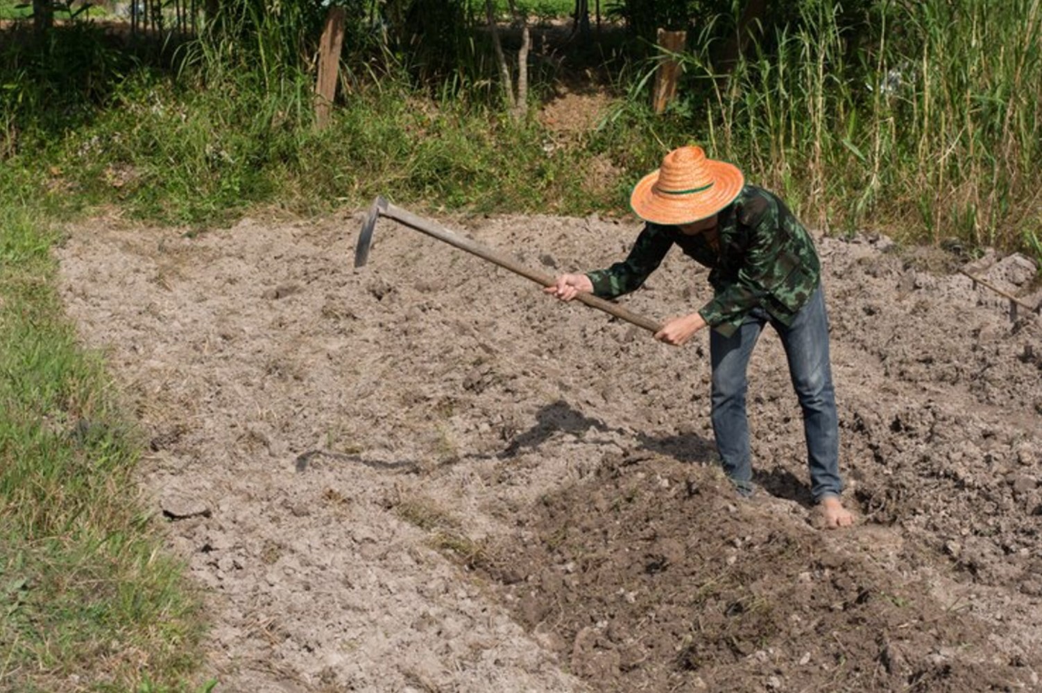 An image of a man digging in a field during midday