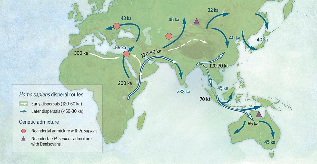 Map that speculated the dispersal of Homo sapiens from Africa around the world