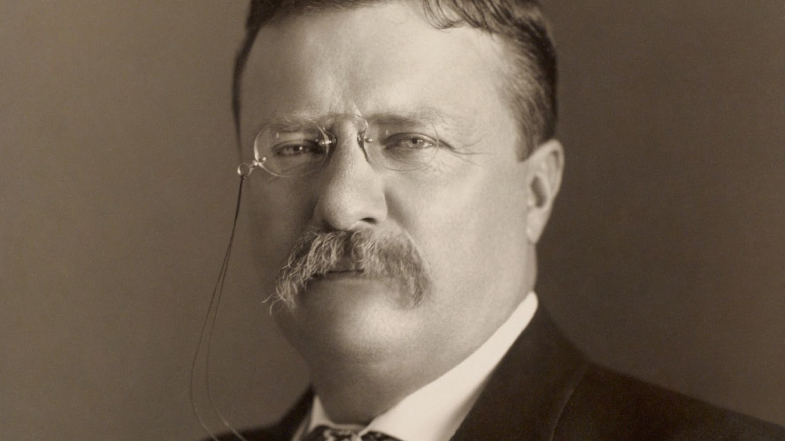 An old portrait photograph of Theodore Roosevelt.