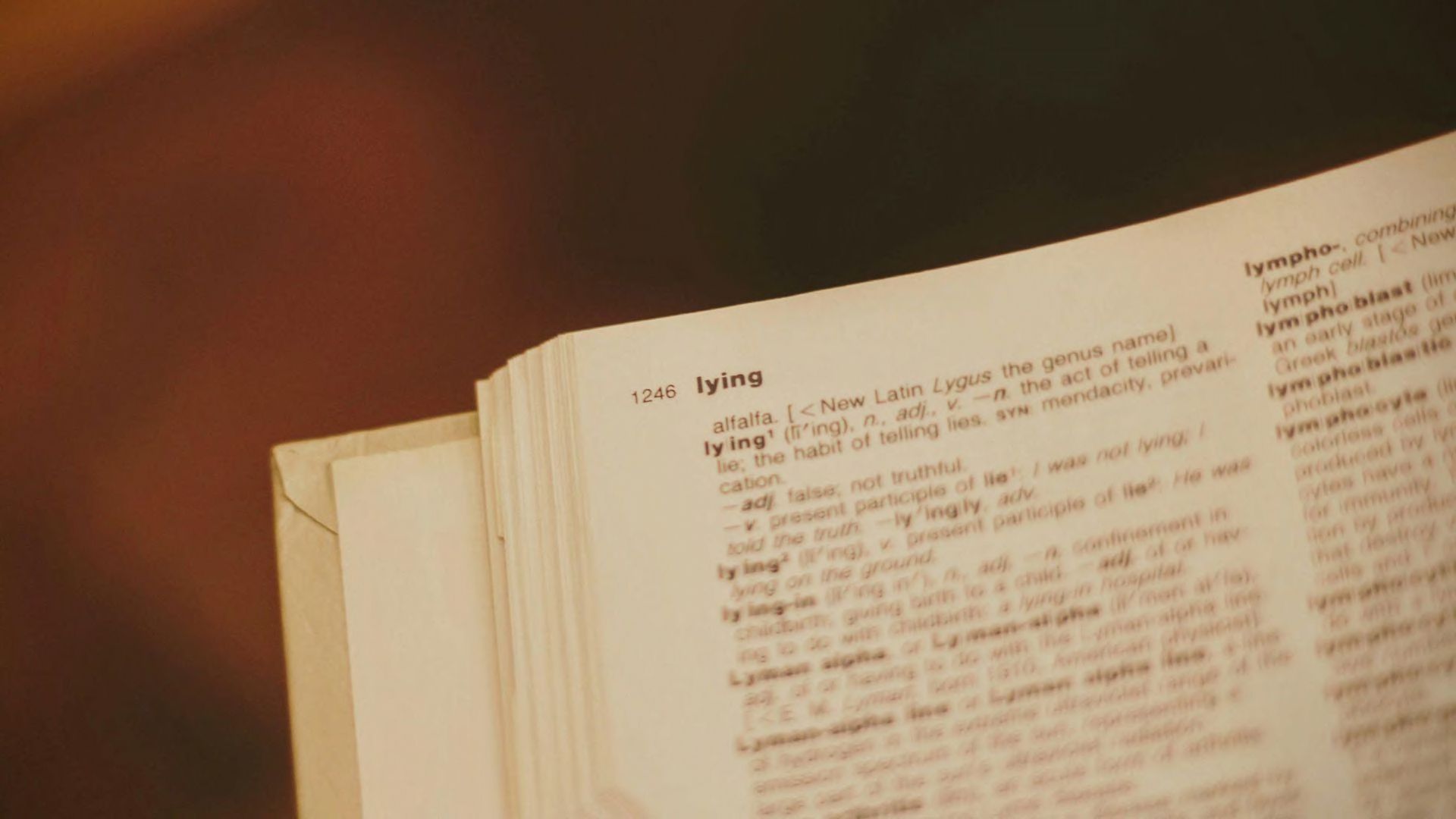 A close-up of a dictionary open to a page that defines lying.