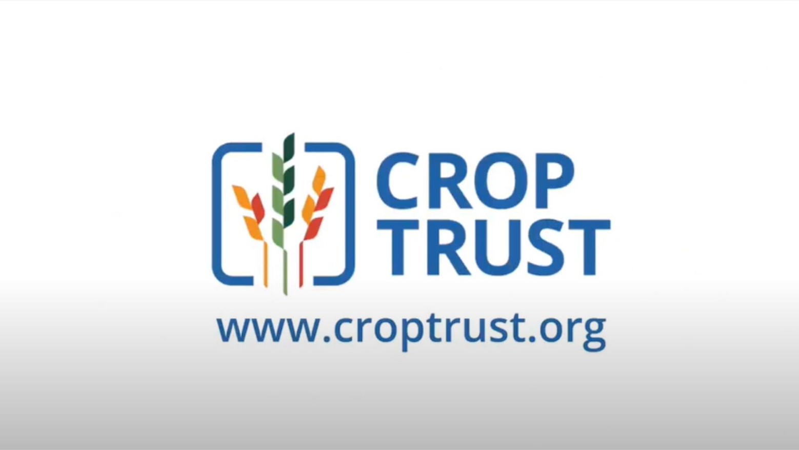 The Crop Trust logo. It consists of three crops, two are orange and red and the one in the middle is green. The crops are in a blue square. To the side in blue writing it says “Crop Trust” and underneath, also in blue writing, it says “www.croptrust.org.”